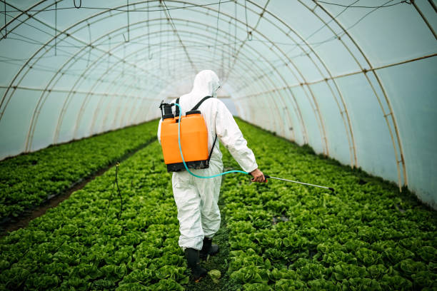 Best Best Pest Control Companies  in Lake Pocotopaug, CT