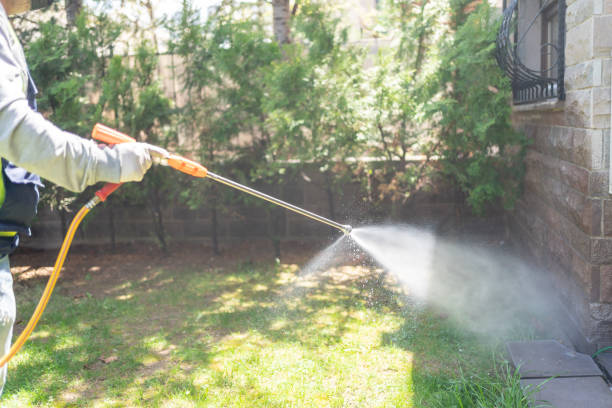 Best Mosquito Control Services  in Lake Pocotopaug, CT